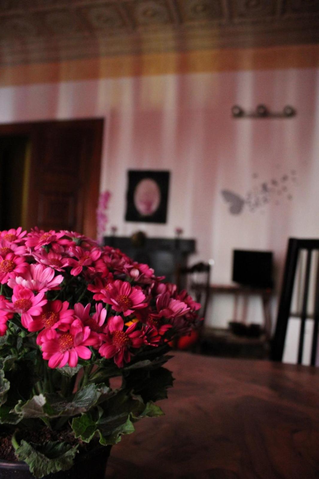 B&B Amarantha Gothica Genoa Ngoại thất bức ảnh